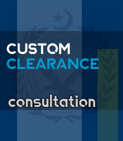 car custom clearance consultation